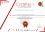 do ms word templates design, edit, format ms word document and letterhead